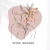 river_indusss