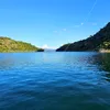 euripedesbrandao