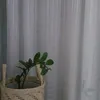 preguicentinha