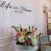 lifeinbloombymiriam