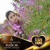thu.xinhdep