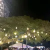 rogerhuang1016