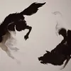 skyfin1