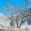 hamza_zaka