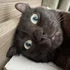 hqnghuy_