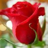 user3168047