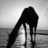 y7ool