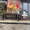 haanh2.1997