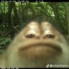 anythjngforu