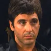 alpacino513