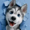 say_with_me