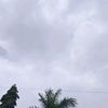zimmm_0707