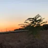 mary_g.3