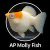 apmollyfish9