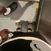 diorcroc