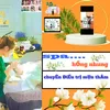 phamthinhung085