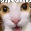 kerang_ajaib8