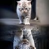 hoang_vu26