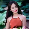 31703790521