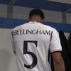 bellligool