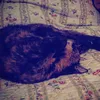 creamymietteandluna