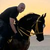 Mohamed Srour