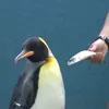ehehee_h