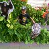 milaalam5firmansyah
