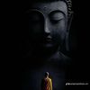 manhtruong.34