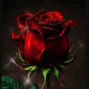 ahmad..8281