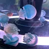 umituki_kurage7