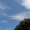 dohoa_80