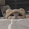 __xytreawsq4