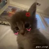tom.xinloi