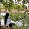 shbarwarii