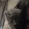 nnnkukii