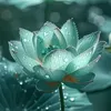 song.cham.25