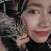 adinus_to