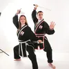 martialartsaintree