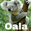 gabutza_