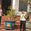 duonggia_1986