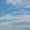 jennyleo0508