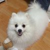 koyy_naka
