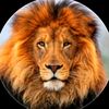107002leo