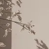 kten_nics