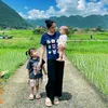 Mẹ sữa review