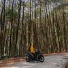 nuralamsyah422