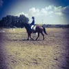 arany_luca88990