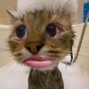 anjsjsj48