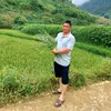 nguyenduyenhoi